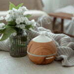 a flower in a vase